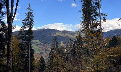 Dornbirn