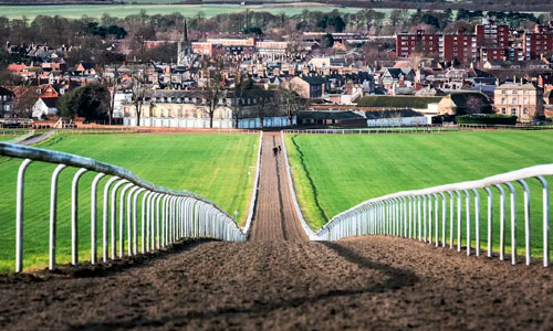 Newmarket